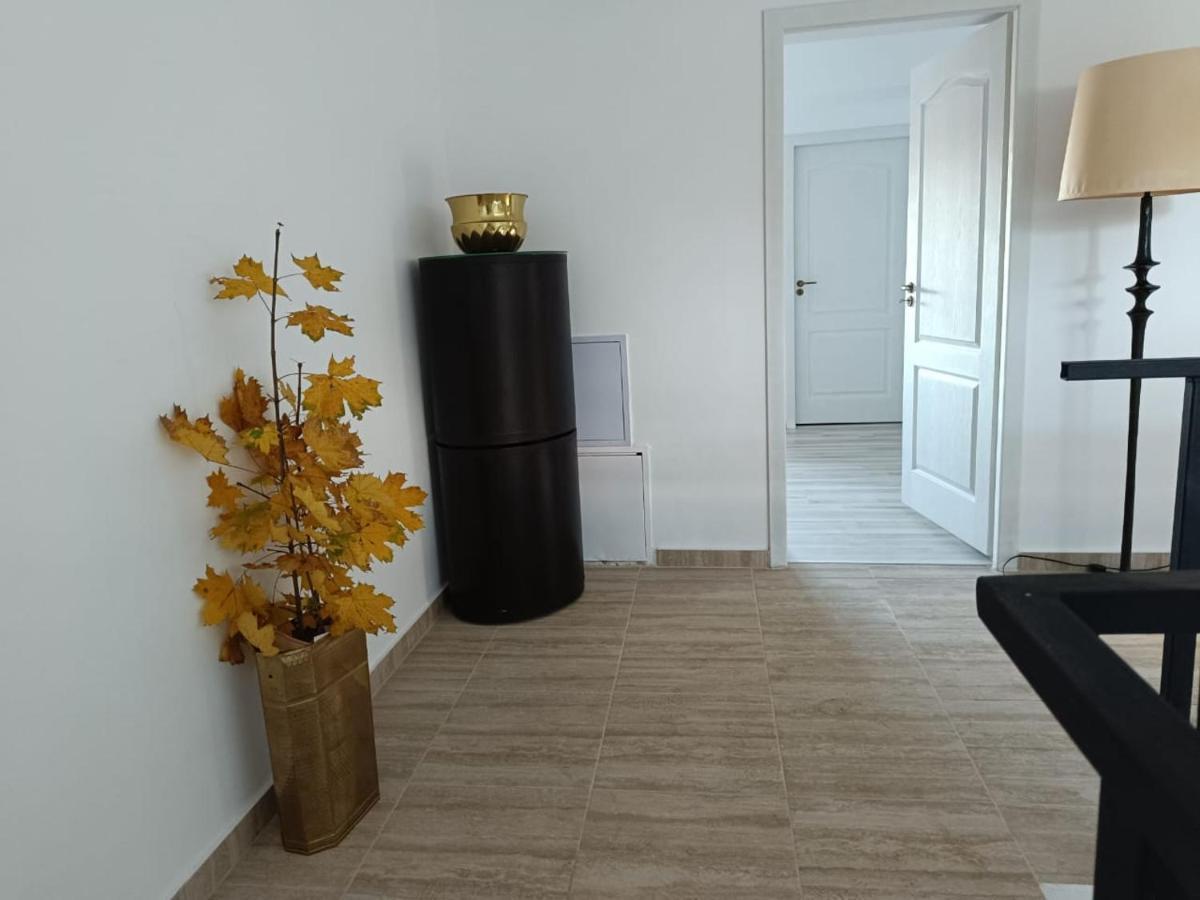 Viv Rosetti Hotell Iasi Exteriör bild